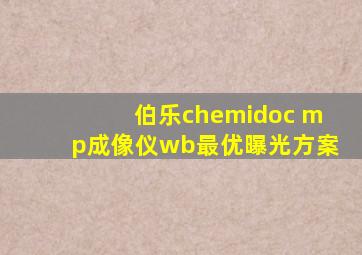 伯乐chemidoc mp成像仪wb最优曝光方案